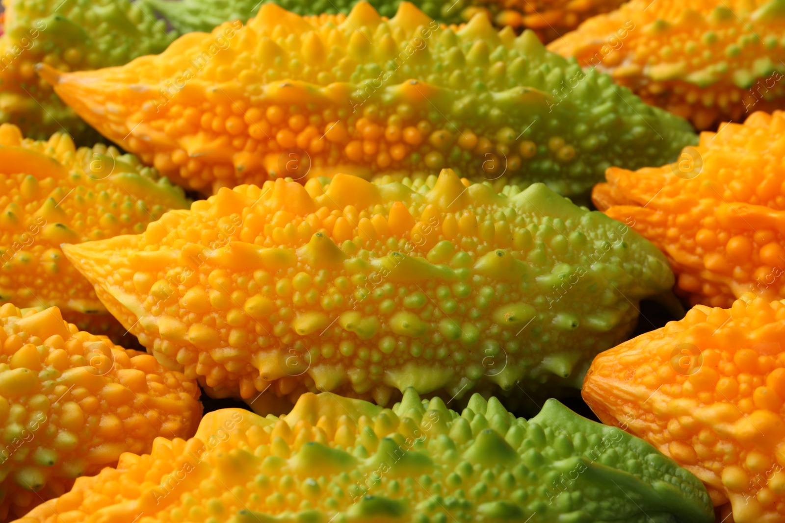 Photo of Tasty fresh bitter melons as background, closeup