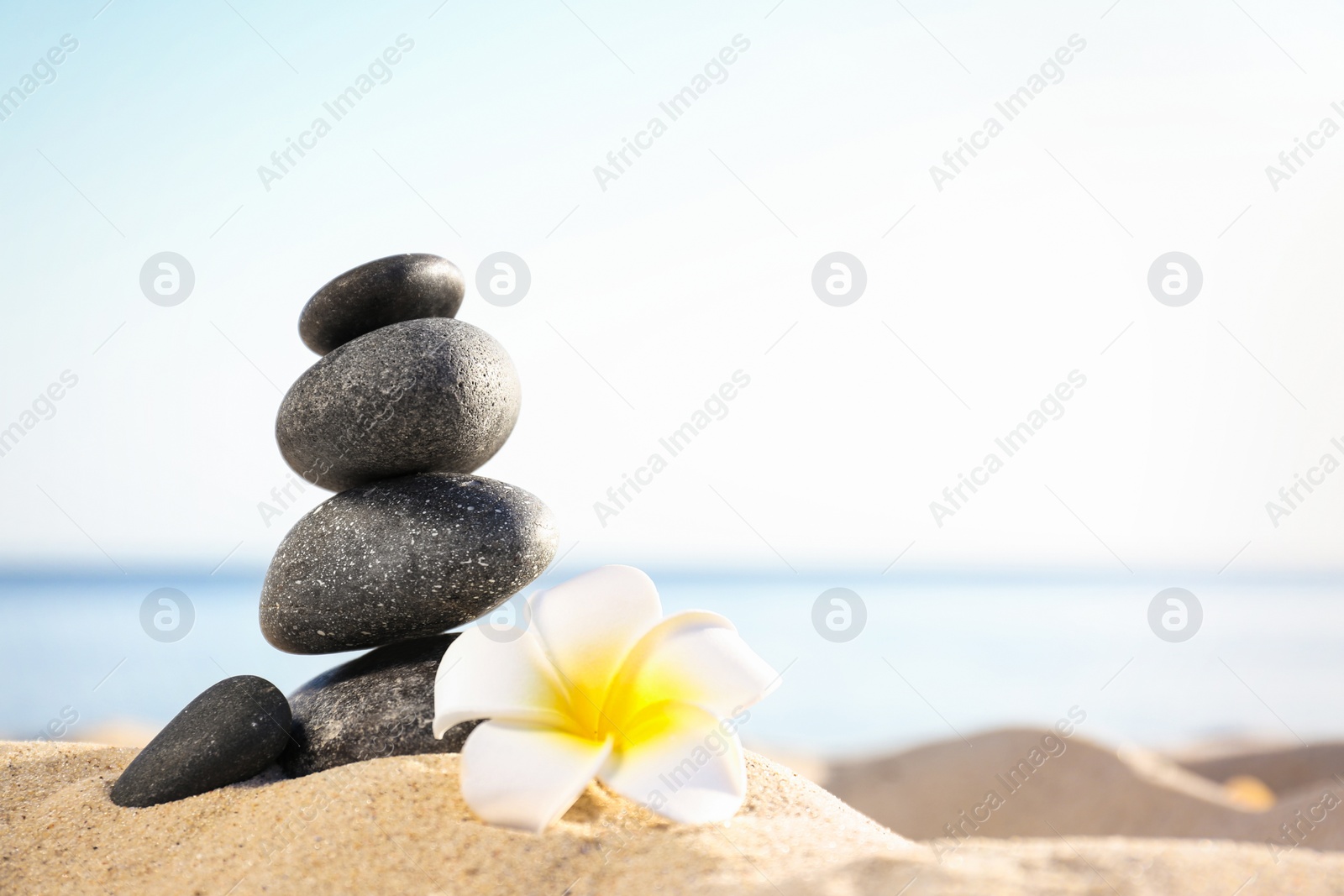 Photo of Stack of dark stones and beautiful flower on sandy beach near sea, space for text. Zen concept