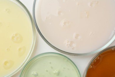 Photo of Petri dishes with different liquid samples on white background, top view