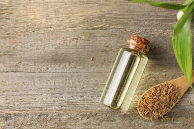 Caraway (Persian cumin) seeds and essential oil on wooden table, flat lay. Space for text