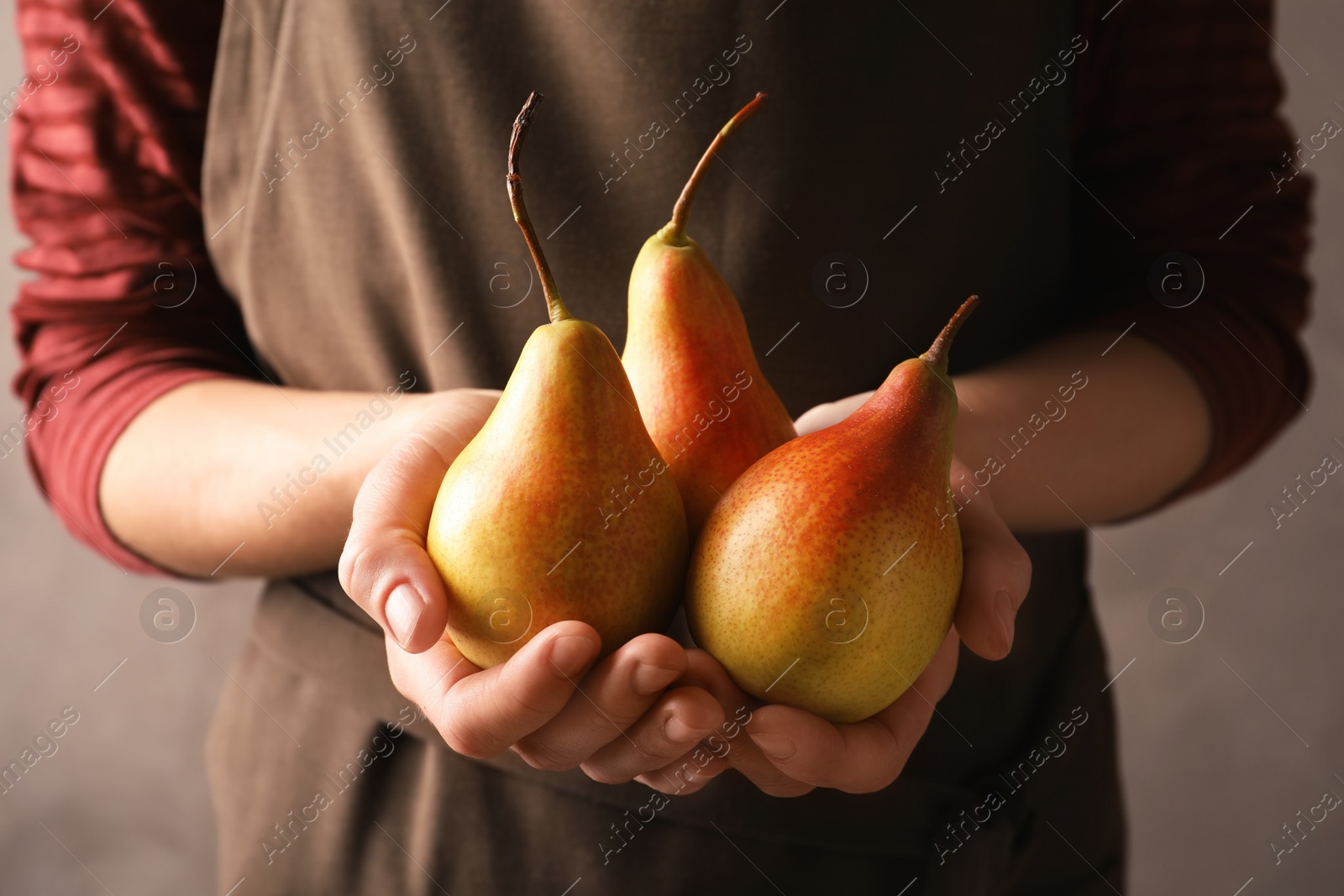 Photo of Woman holding ripe pears on grey background, closeup