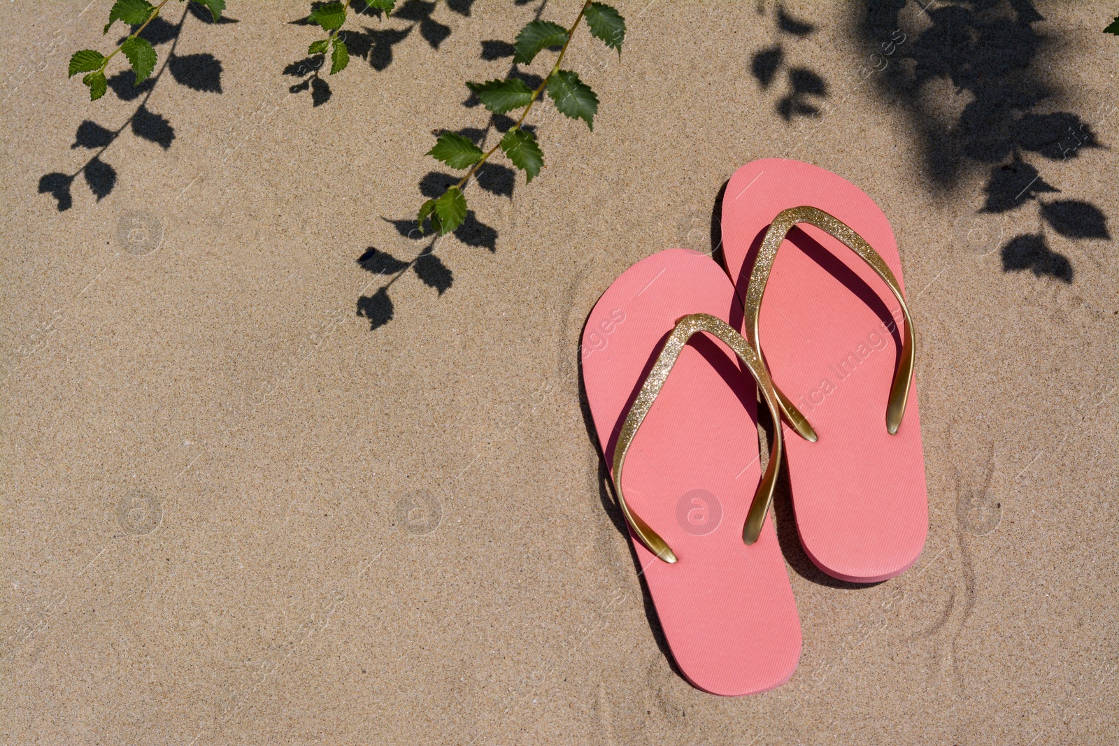 Photo of Stylish pink flip flops near green plant on sandy beach, flat lay. Space for text