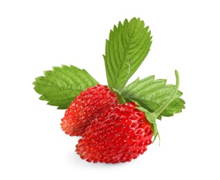 Image of Fresh ripe wild strawberries with green leaves isolated on white