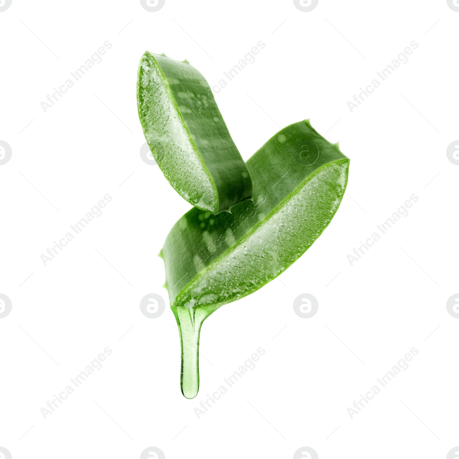 Image of Aloe vera leaf cross sections with juice in air on white background