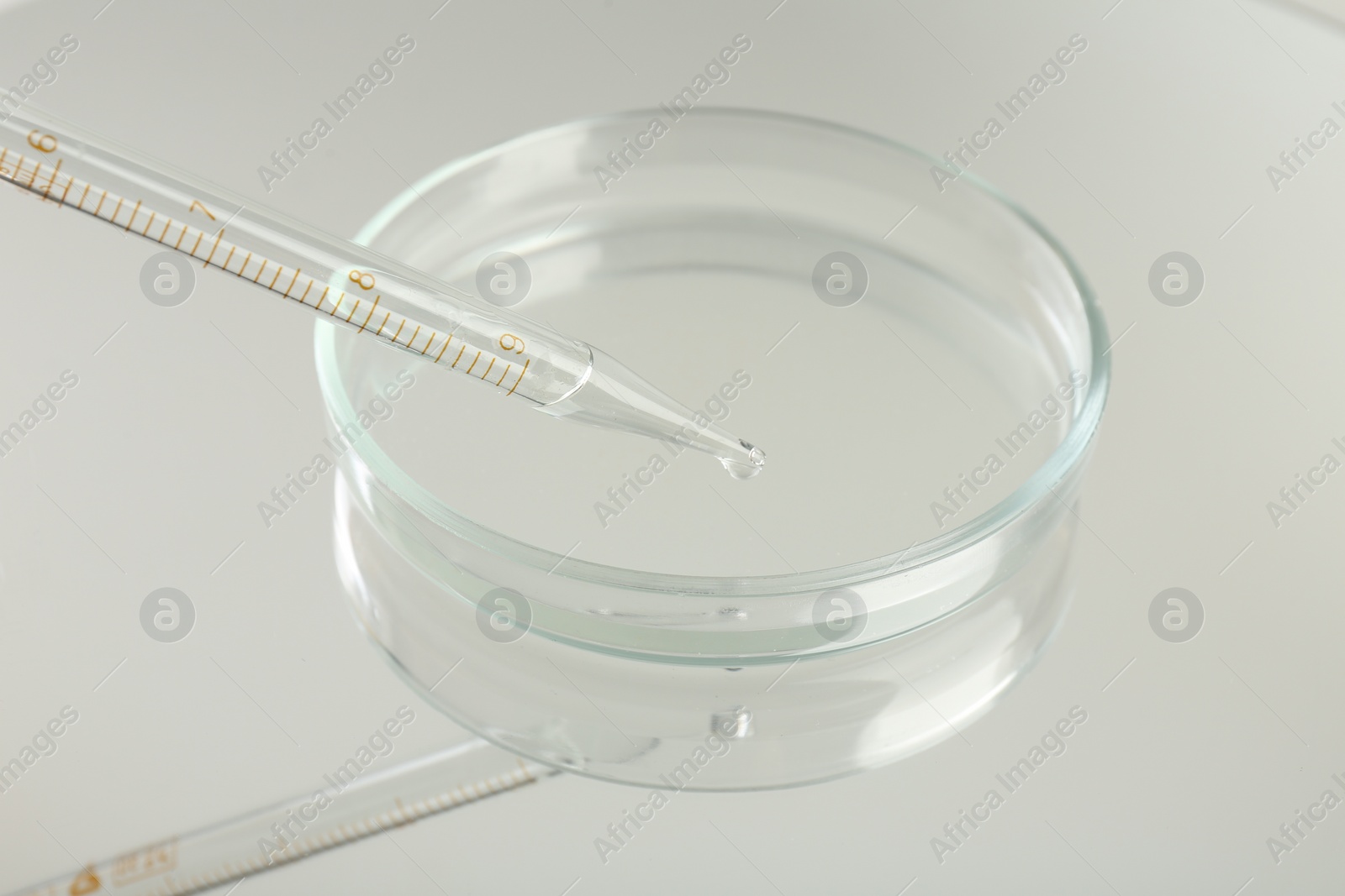 Photo of Dripping liquid from pipette into petri dish on mirror surface, closeup