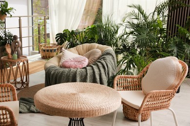 Indoor terrace interior with soft papasan chair and green plants