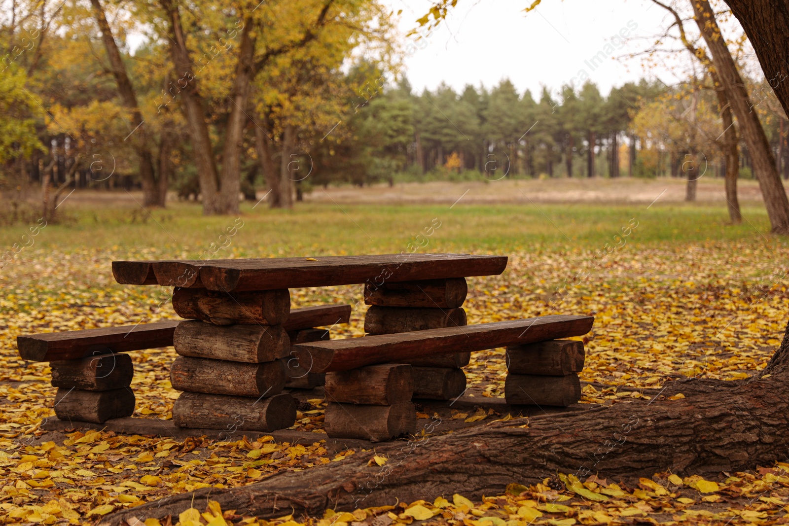 Photo of Empty wooden table with benches in autumn forest