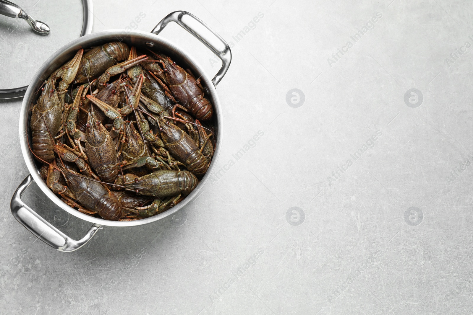 Photo of Fresh raw crayfishes in pot on grey table, top view. Space for text