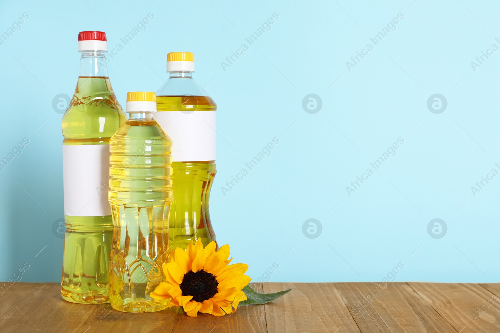Photo of Bottles of cooking oil and sunflower on wooden table, space for text