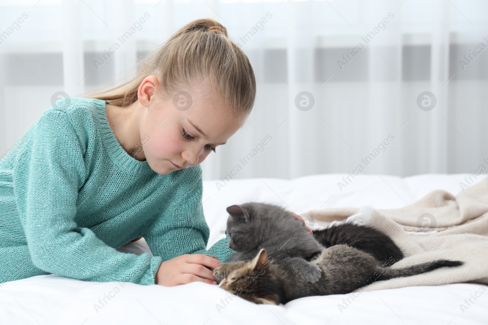 Photo of Little girl with cute fluffy kittens on bed indoors