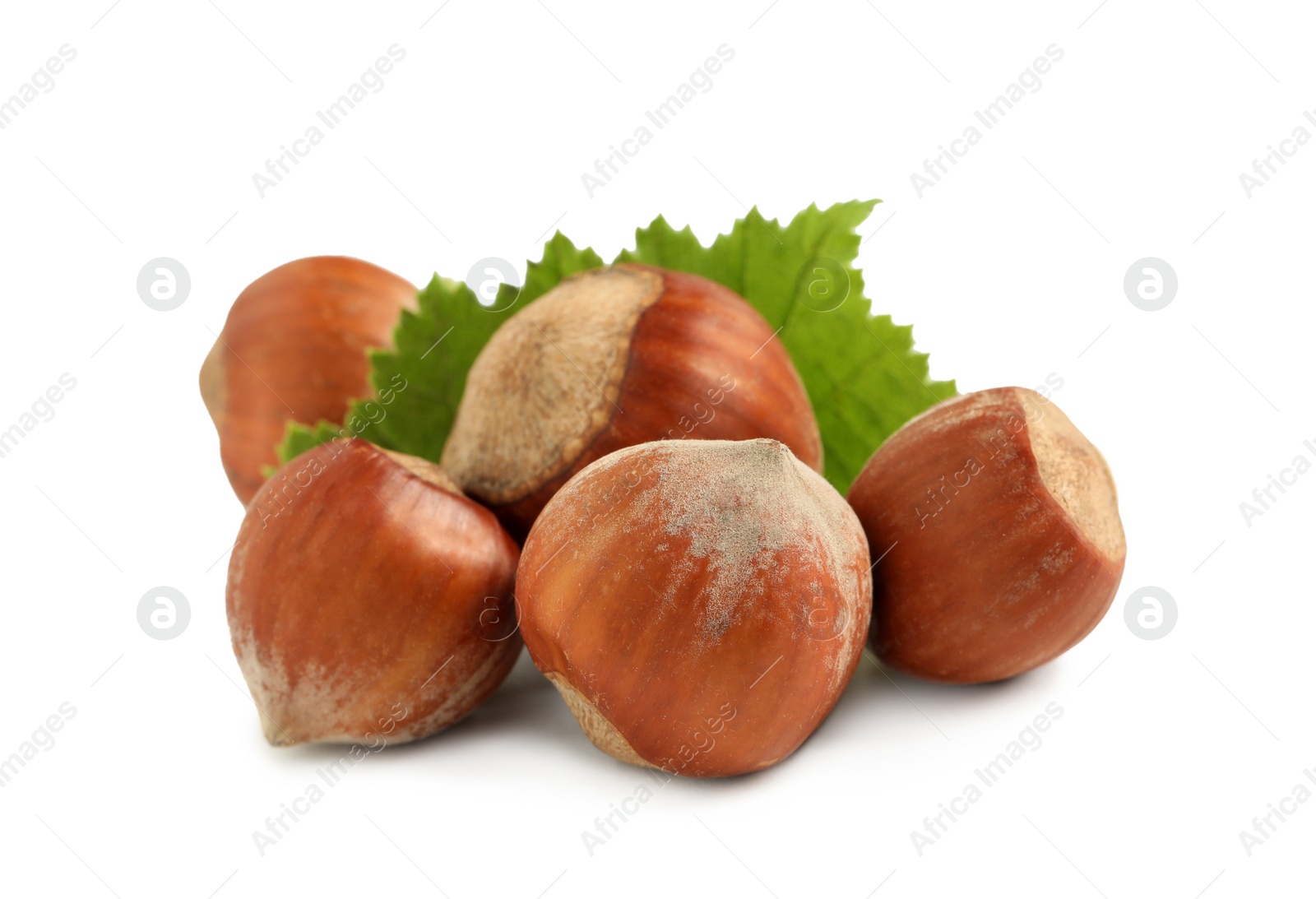 Photo of Tasty organic hazelnuts and leaf on white background