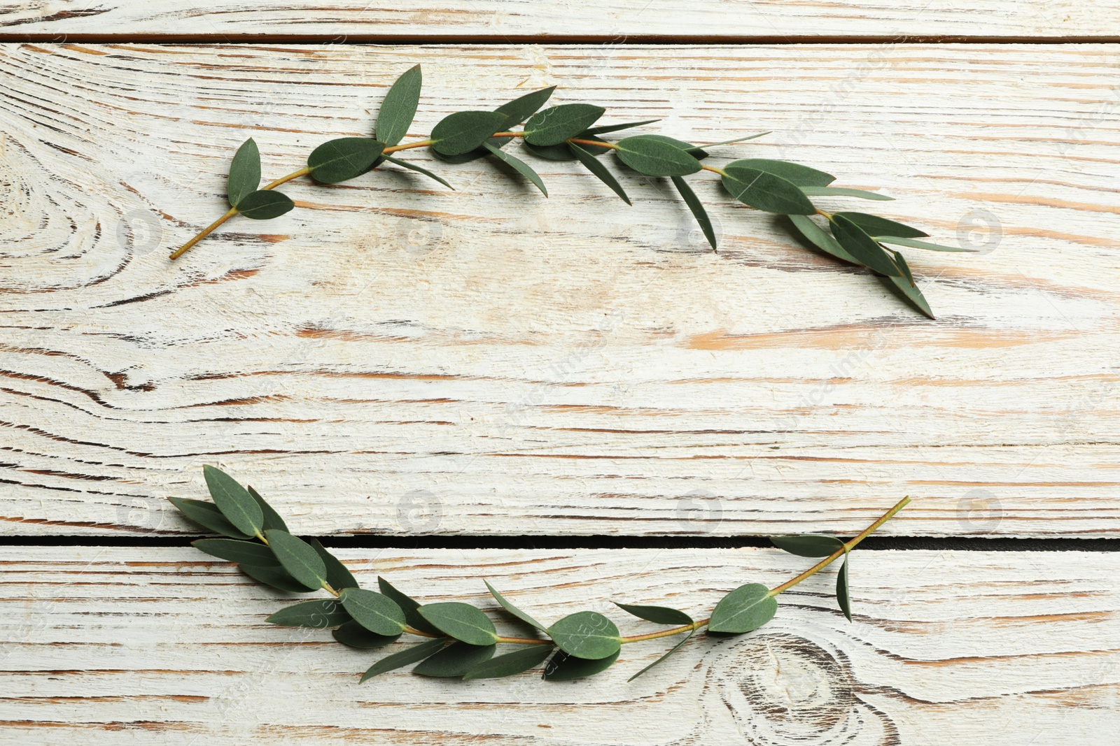 Photo of Eucalyptus branches with fresh green leaves on white wooden table, flat lay. Space for text