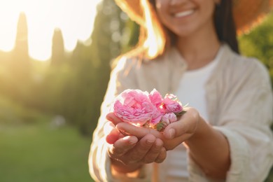 Woman holding beautiful tea roses outdoors, closeup. Space for text