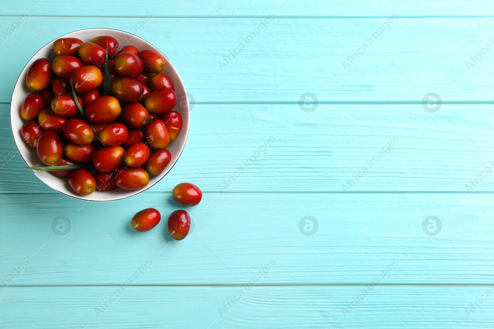 Photo of Palm oil fruits in bowl on turquoise wooden table, flat lay. Space for text