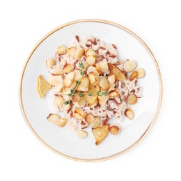 Photo of Plate with baked salsify roots, lemon and rice isolated on white, top view