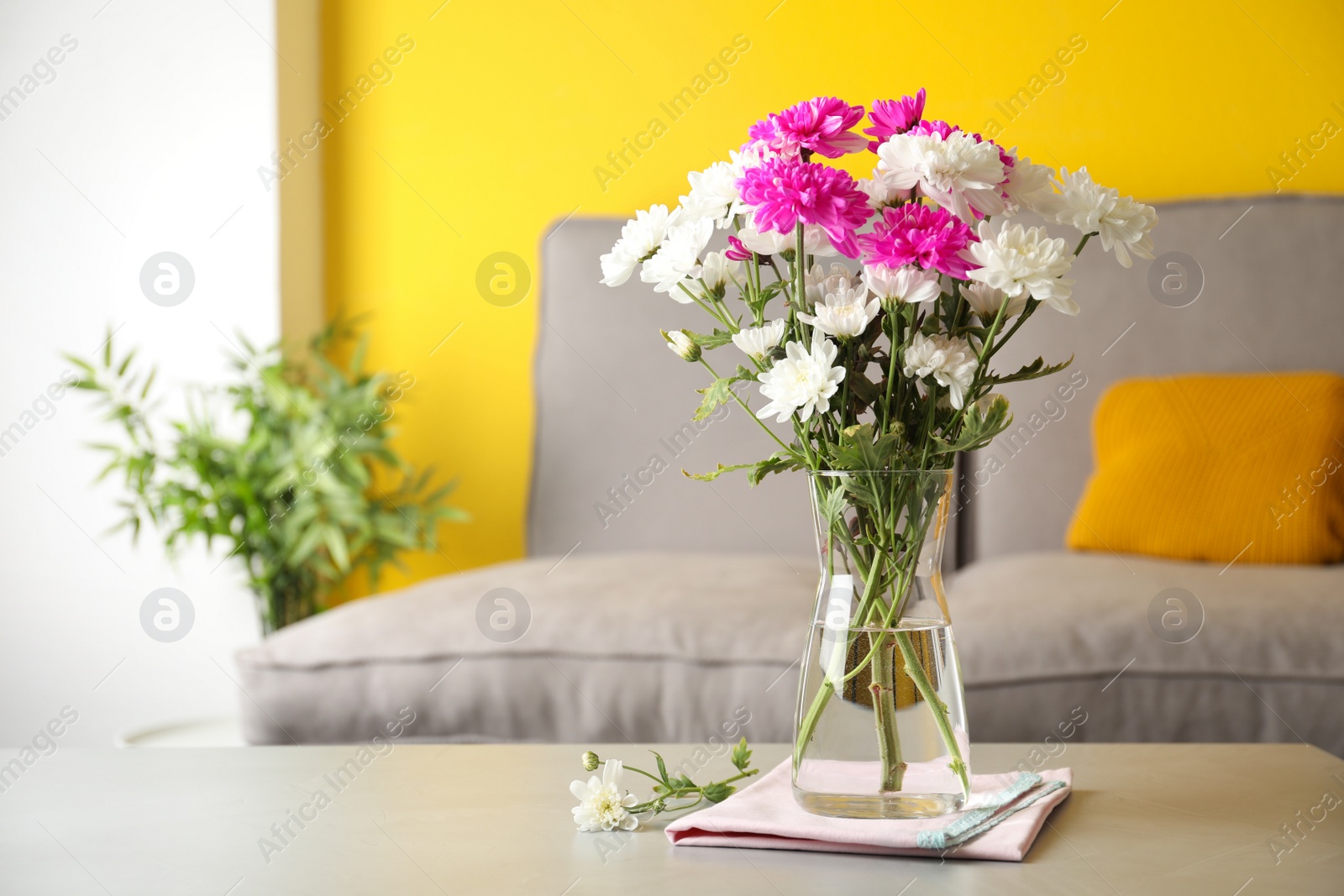 Photo of Beautiful bouquet of Chrysanthemum flowers on grey table indoors, space for text. Interior design