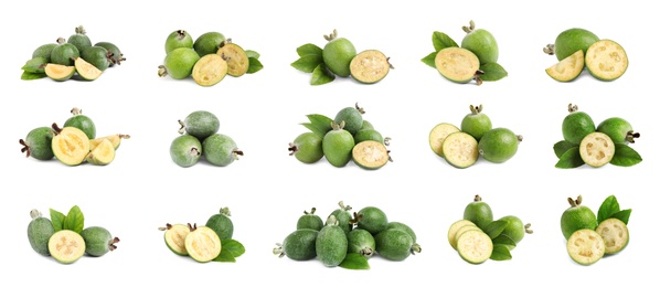 Image of Set of fresh ripe feijoas on white background. Banner design