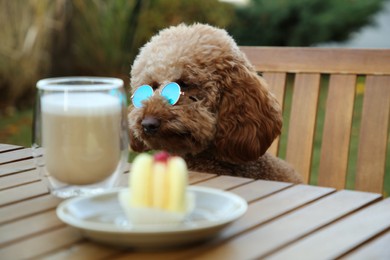 Photo of Cute fluffy dog with sunglasses at table in outdoor cafe