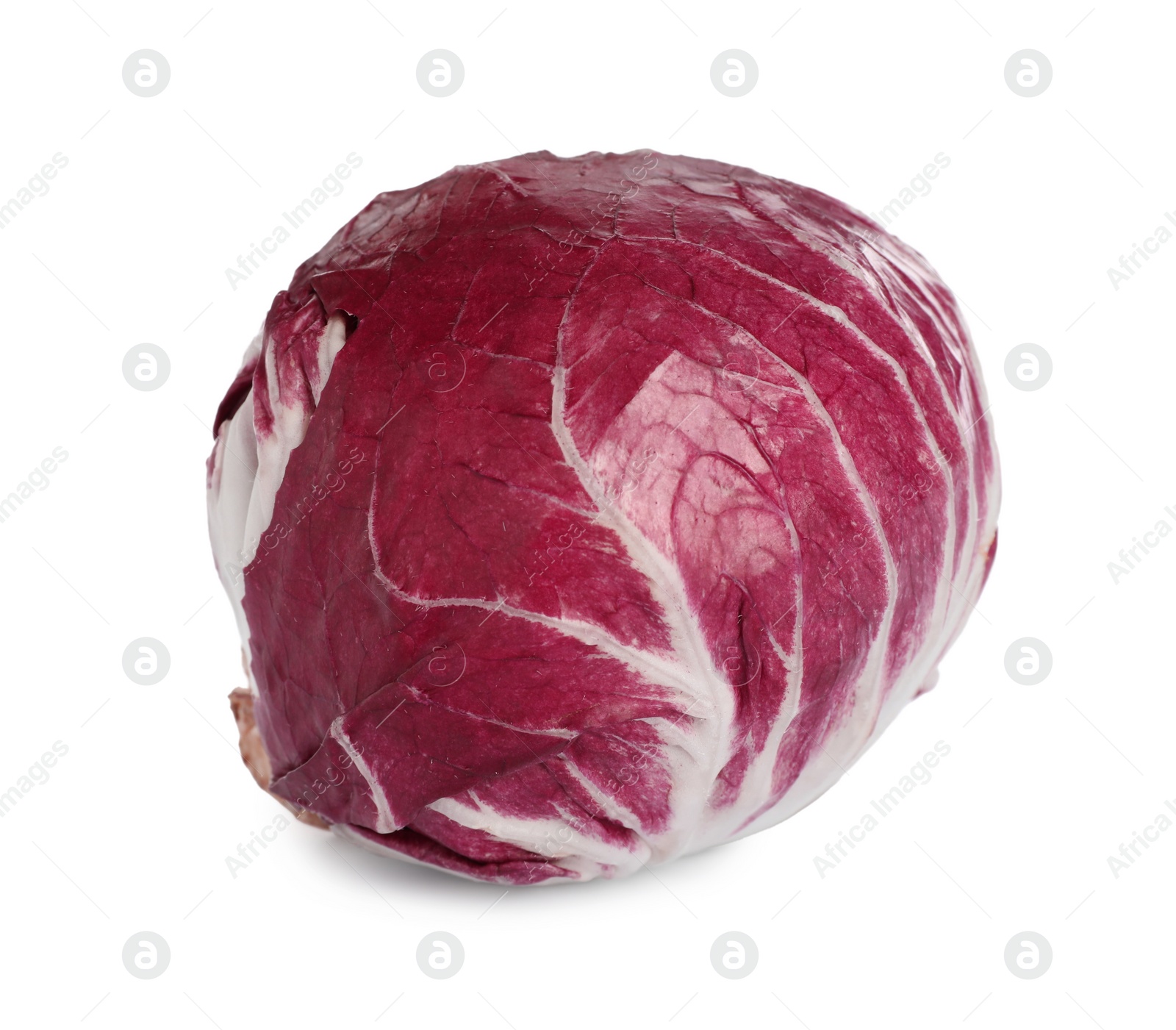 Photo of Whole fresh ripe radicchio isolated on white