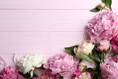 Photo of Beautiful peonies on pink wooden table, flat lay. Space for text