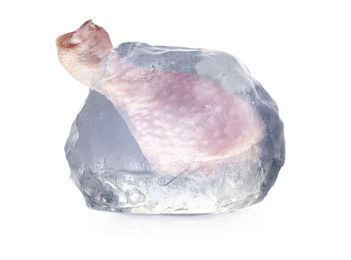 Image of Frozen food. Raw chicken drumstick in ice cube isolated on white