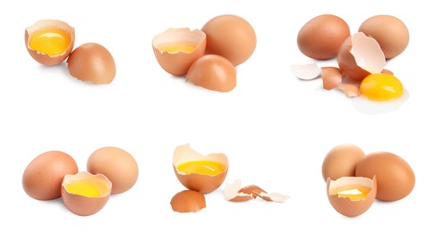 Image of Many eggs and yolks on white background, set