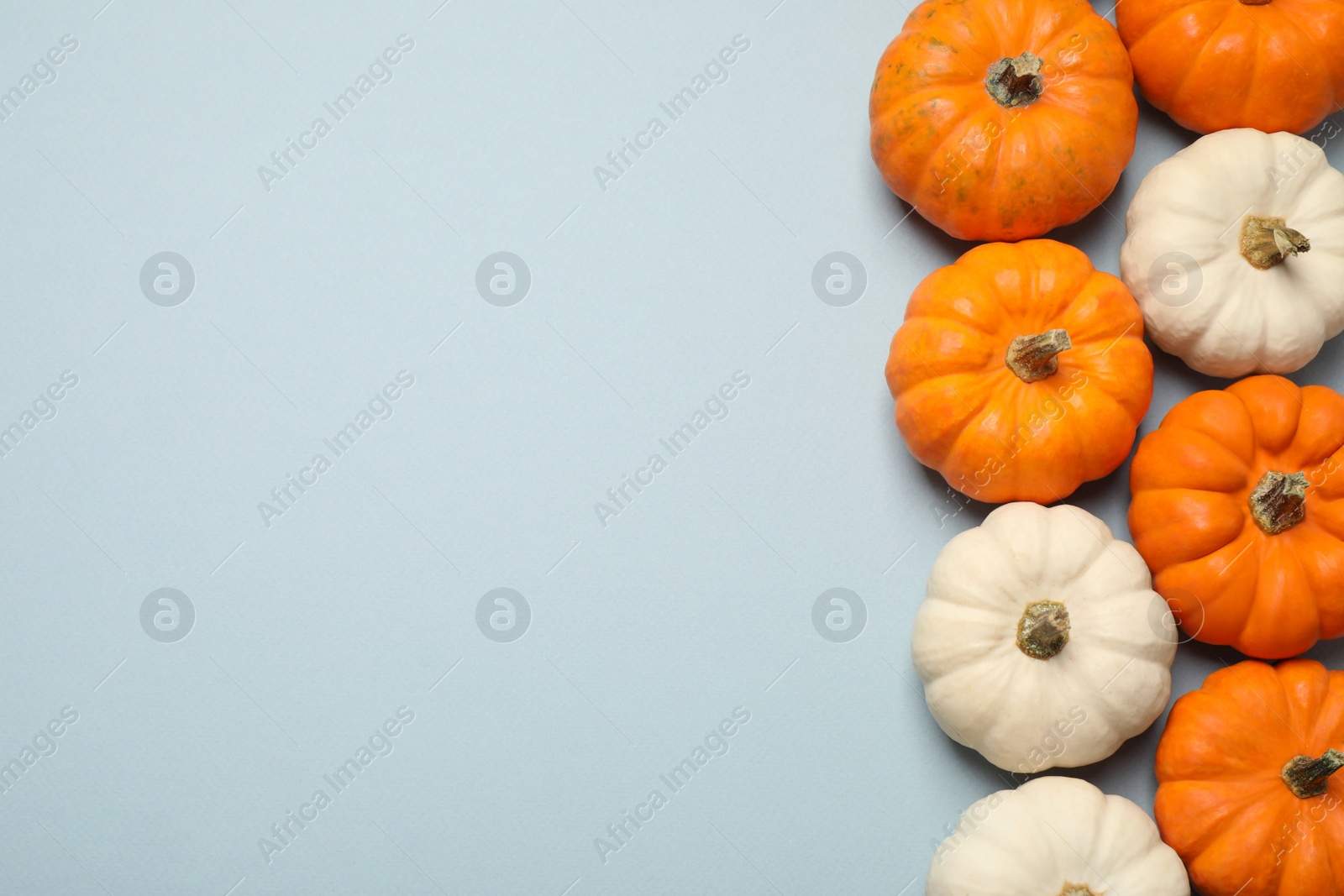 Photo of Different ripe pumpkins on light blue background, flat lay. Space for text