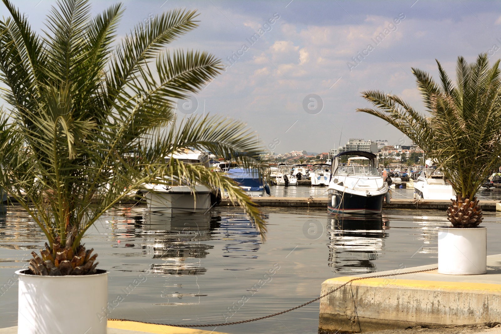 Photo of Beautiful view of city pier with moored boats and palms on sunny day