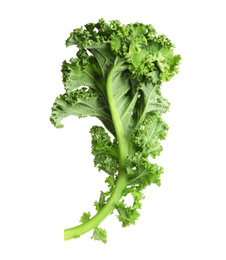 Photo of Fresh green kale leaf isolated on white