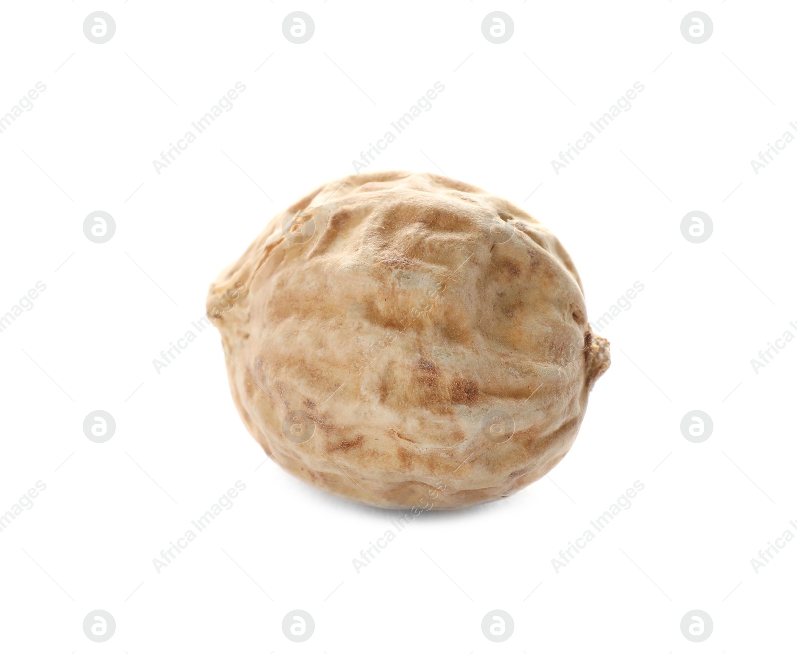 Photo of Raw peanut in shell on white background