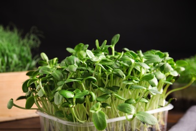 Photo of Fresh organic microgreen in plastic container on table, closeup