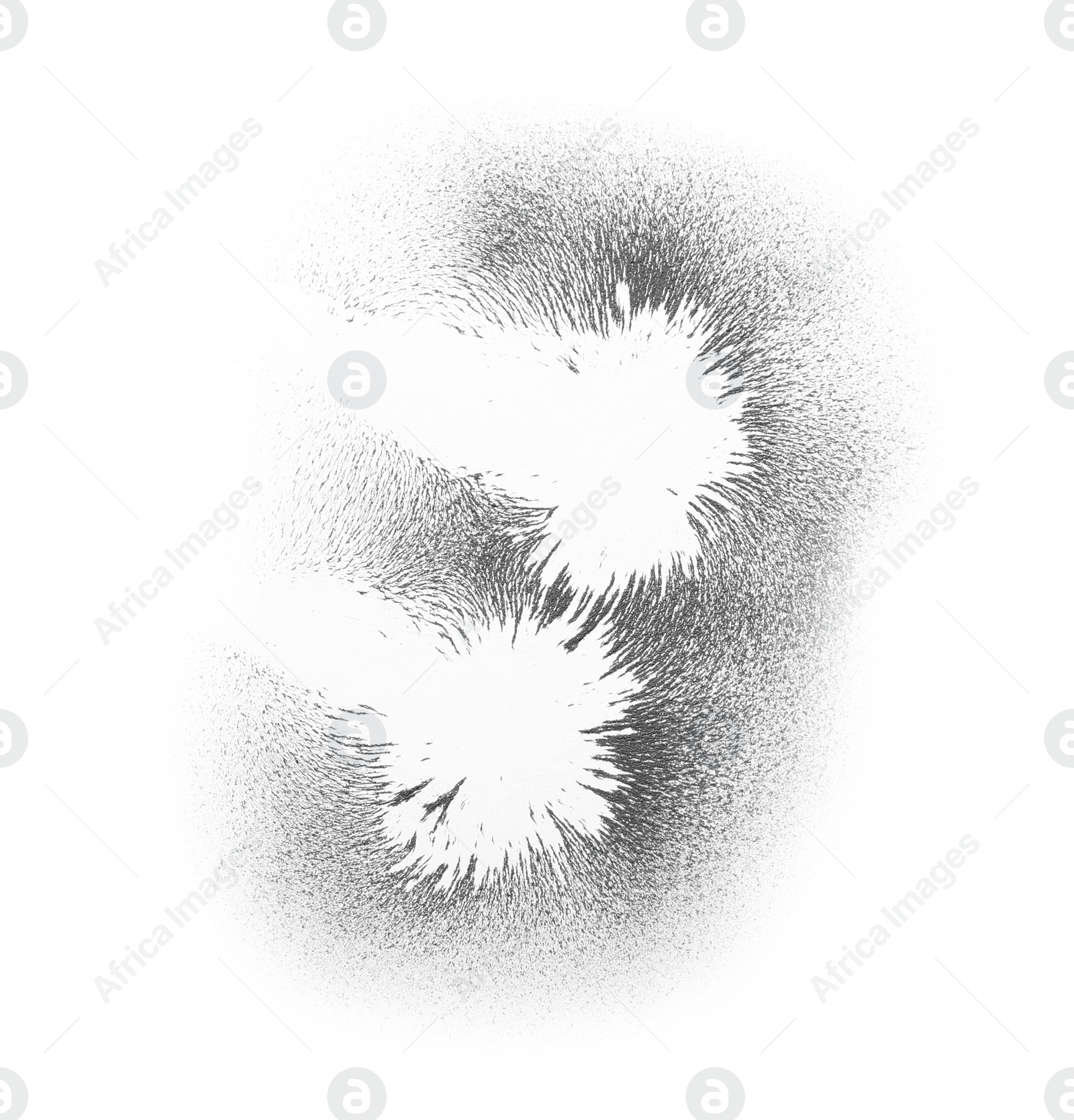 Photo of Iron powder showing magnetic lines on white background, top view