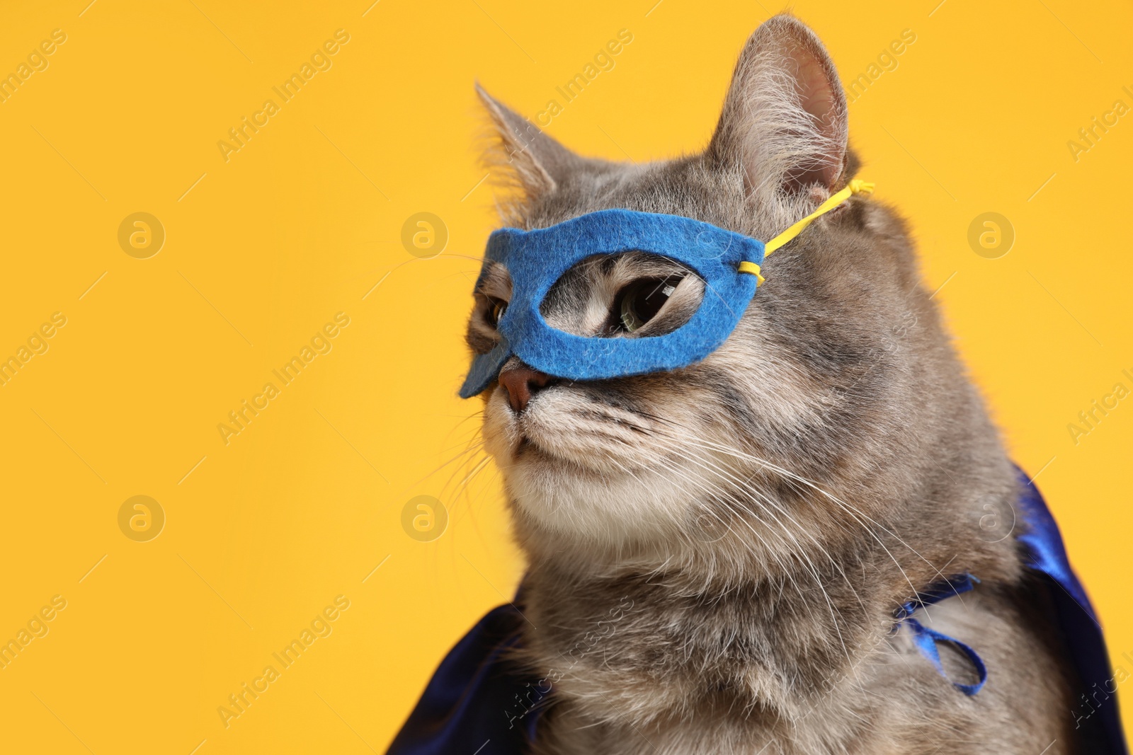 Photo of Adorable cat in blue superhero cape and mask on yellow background, space for text