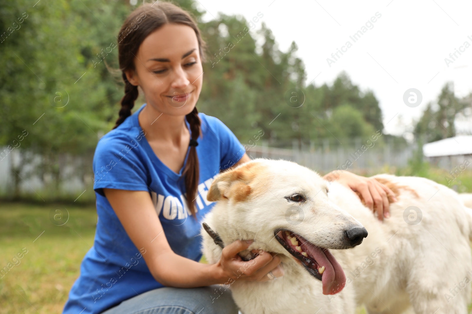 Photo of Female volunteer with homeless dog at animal shelter outdoors