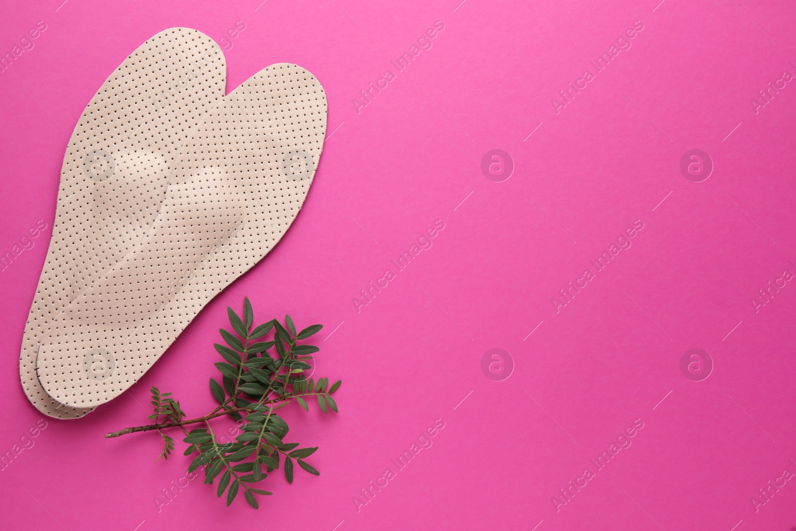 Photo of Orthopedic insoles and green twig on pink background, flat lay. Space for text