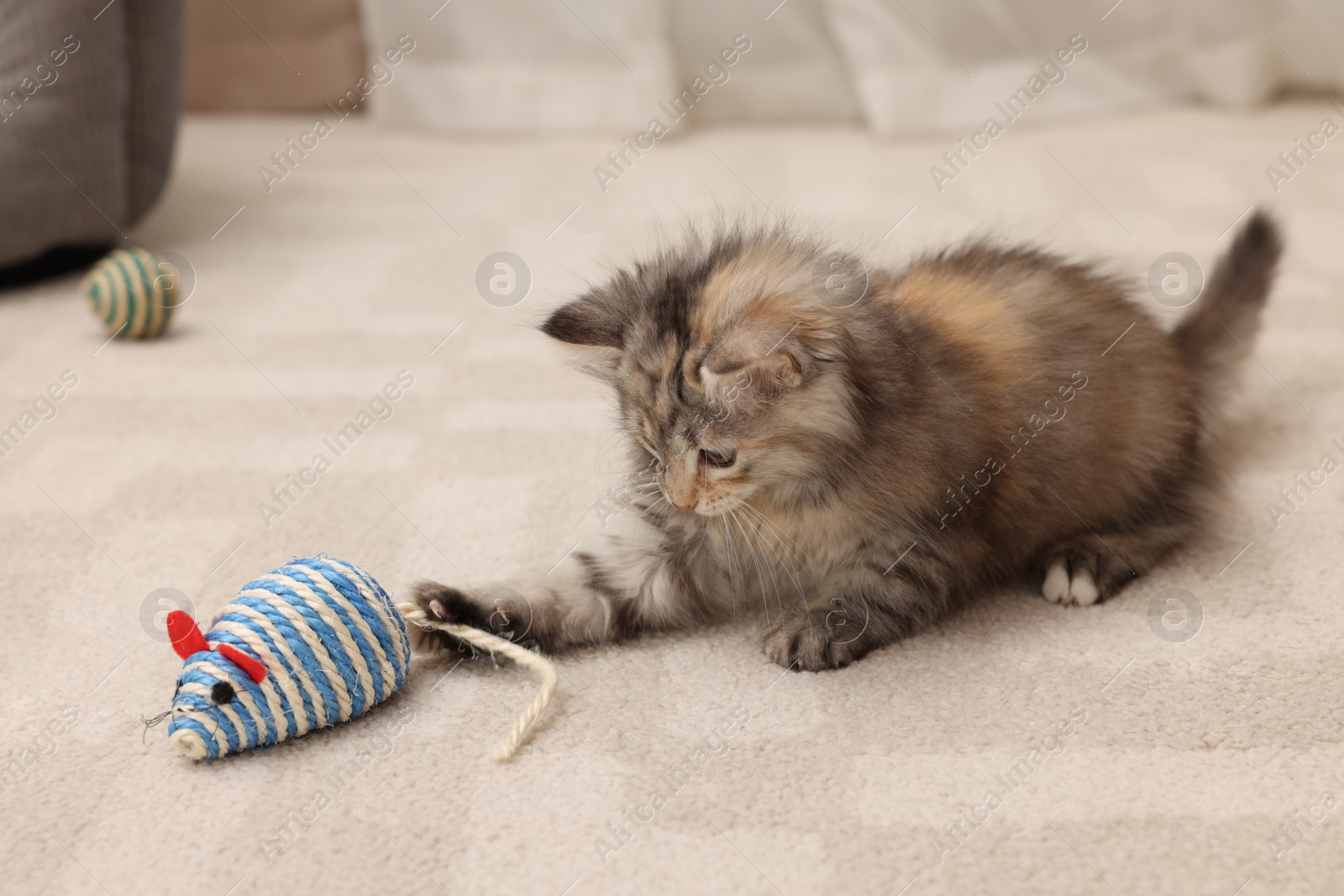 Photo of Cute fluffy kitten playing with toy mouse at home