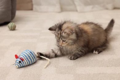 Cute fluffy kitten playing with toy mouse at home