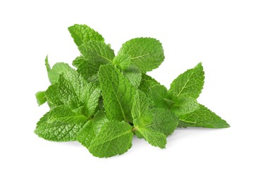 Fresh green mint leaves isolated on white