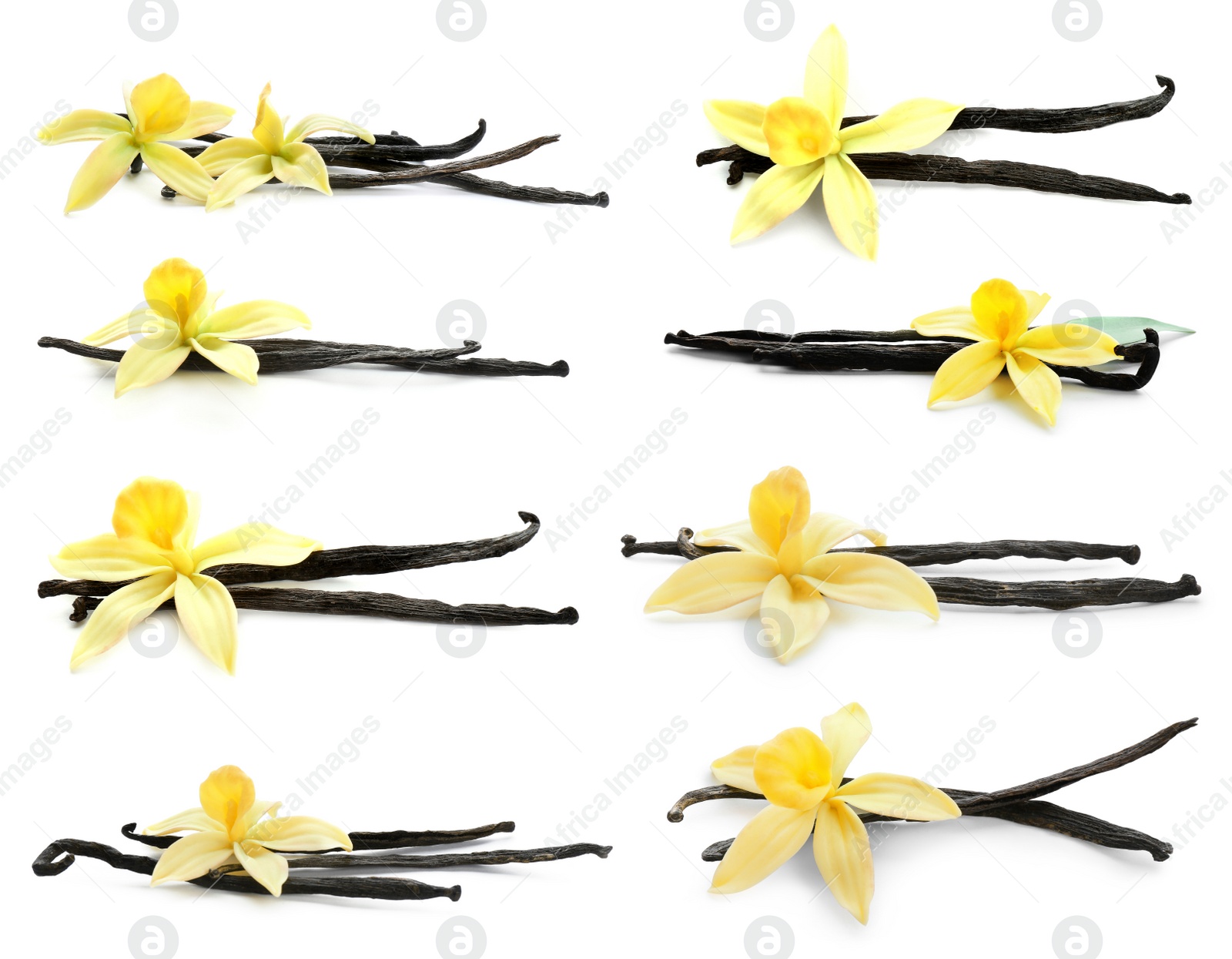 Image of Set with aromatic vanilla pods and flowers on white background