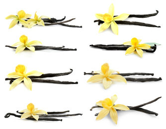 Image of Set with aromatic vanilla pods and flowers on white background