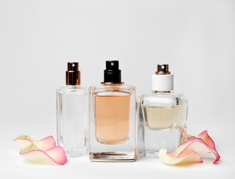 Photo of Transparent bottles of perfume and flower petals on white background