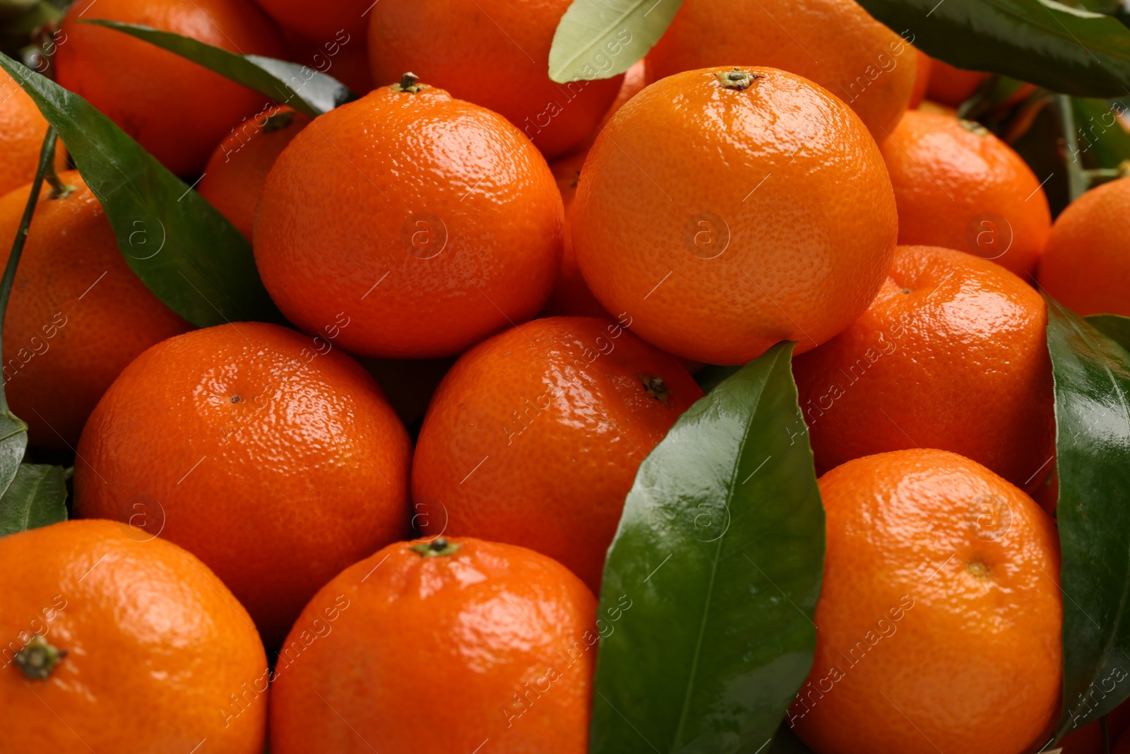 Photo of Delicious tangerines with leaves as background, closeup