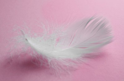 Photo of Fluffy white bird feather on pink background, closeup