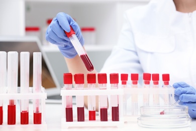 Scientist working with blood samples in test tubes at table