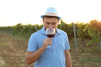 Young handsome man enjoying wine at vineyard on sunny day