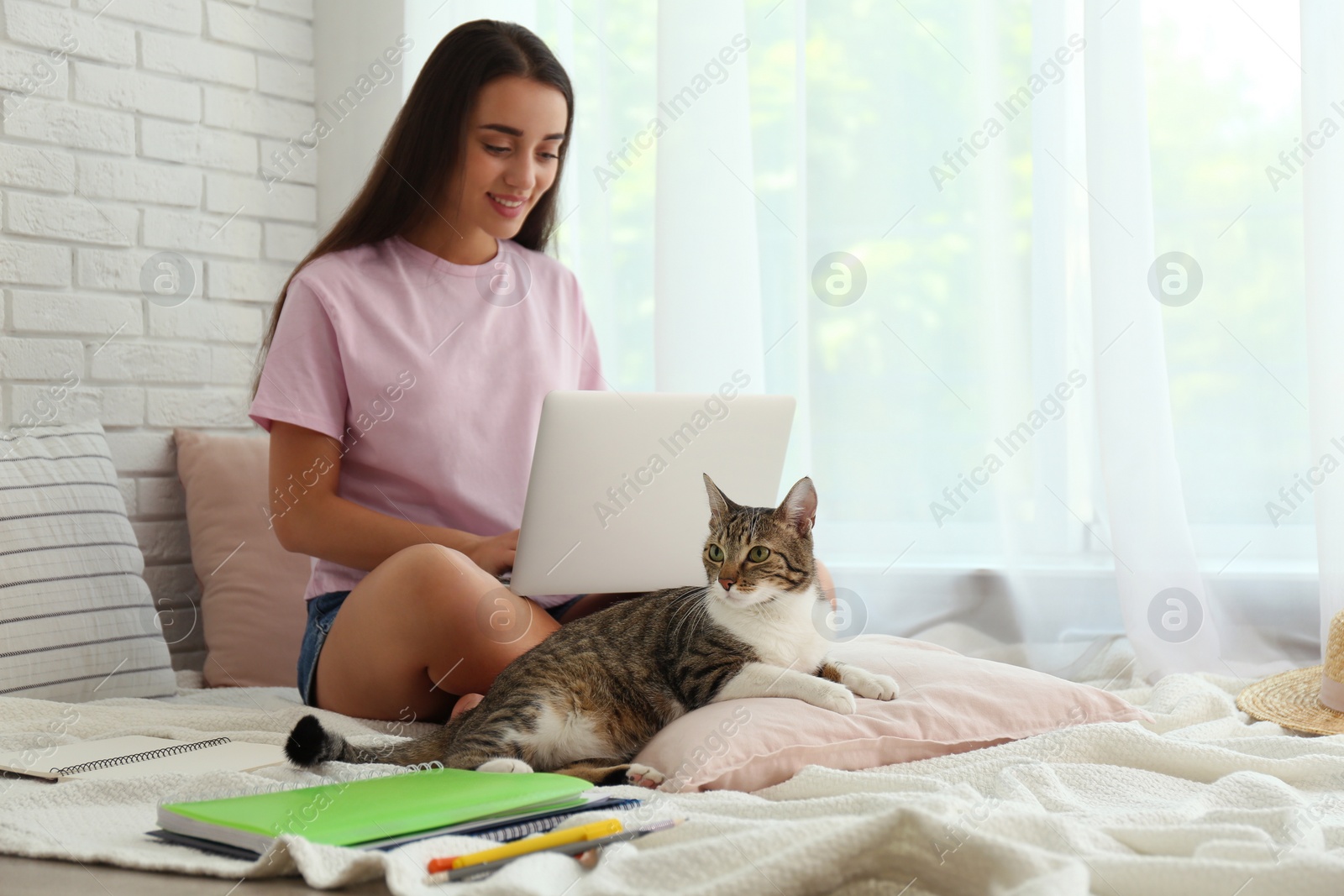 Photo of Young woman with cat working on laptop near window. Home office concept