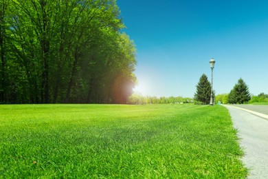 Photo of Picturesque view of beautiful park with fresh green grass and trees