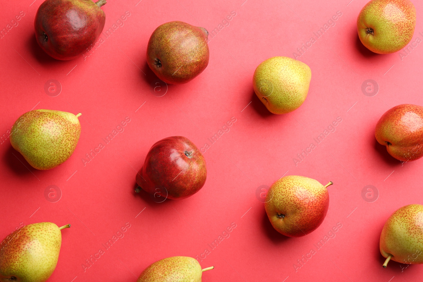 Photo of Ripe juicy pears on red background, flat lay