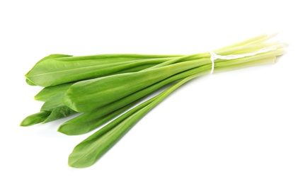 Bunch of wild garlic or ramson isolated on white