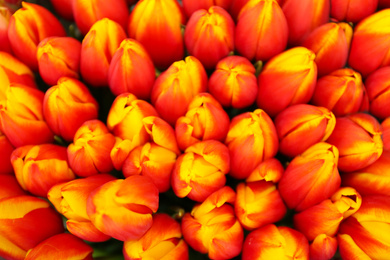 Photo of Beautiful bouquet of tulip flowers, top view